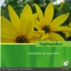 topinambur-diabetes-balance-set-das-bestehend-aus-topinambur-tabletten-feinen-streifen-und-topinambur-detailansicht